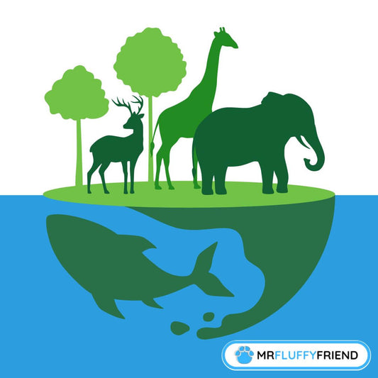 Histoire et importance de la Journée mondiale des animaux