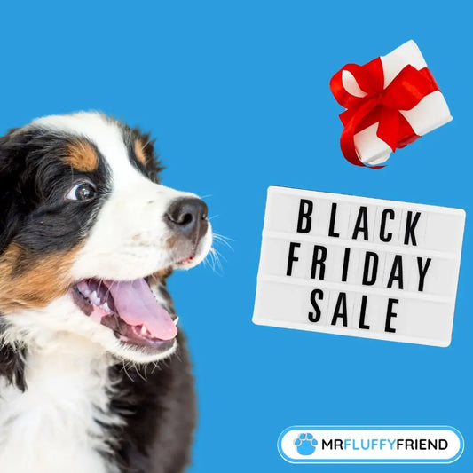 Offres Black Friday pour les animaux
