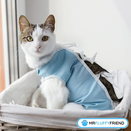 combien coûte la stérilisation d'un chien