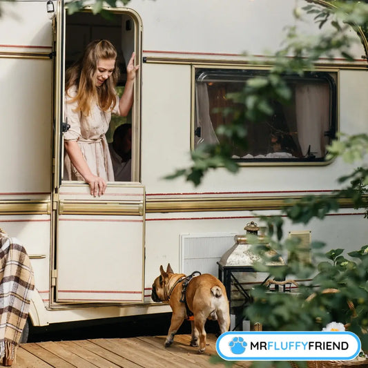 Images en vedette pour le blog « Choisir la race de chien idéale pour la vie en van : guide complet » avec une femme et un Bouledogue Français entrant dans un camping-car par une porte ouverte