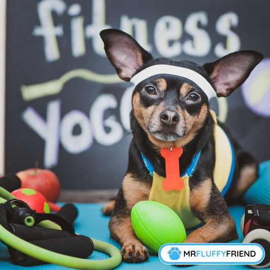 exercices-contre-lanxiete-de-la-separation