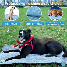 Charger l&#39;image dans la galerie, MrFluffyFriend™ - Tapis Refroidissant Ultime pour les Animaux
