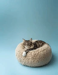Photo of Coussin Anti-Stress Pour Chat