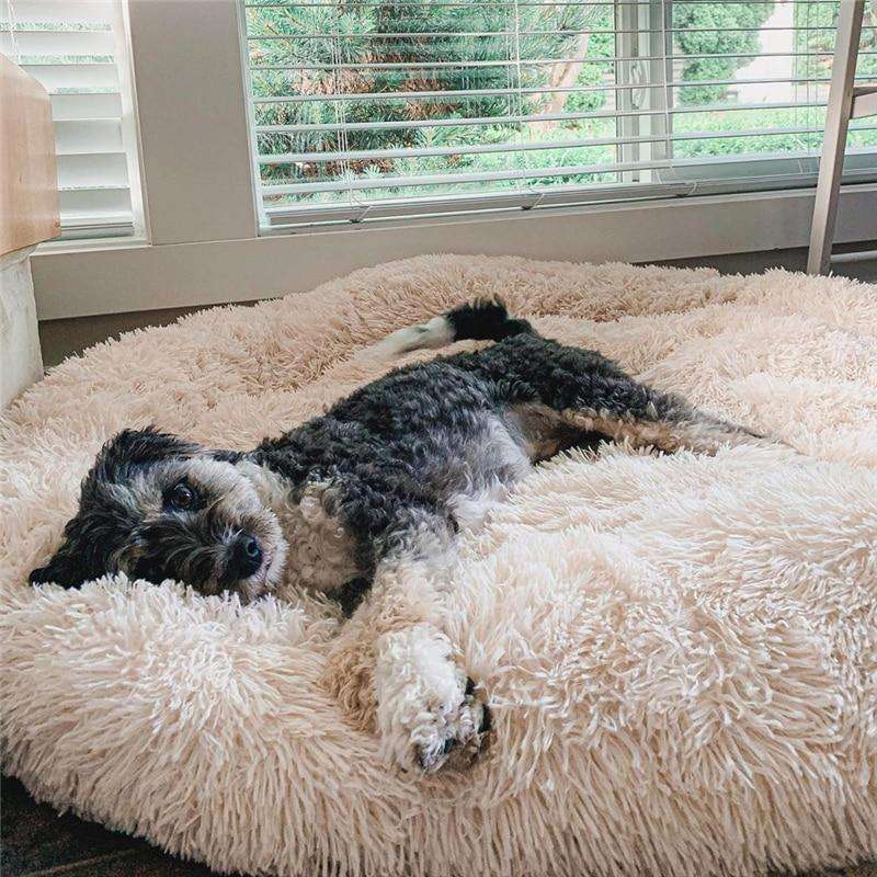 MrFluffyFriend™ - Coussin Anti-Stress Pour Chien